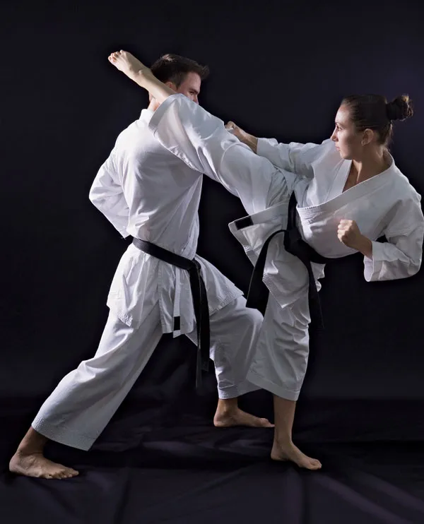 Comprehensive Karate: From Beginner to Black Belt