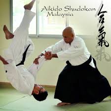 Technical Aikido
